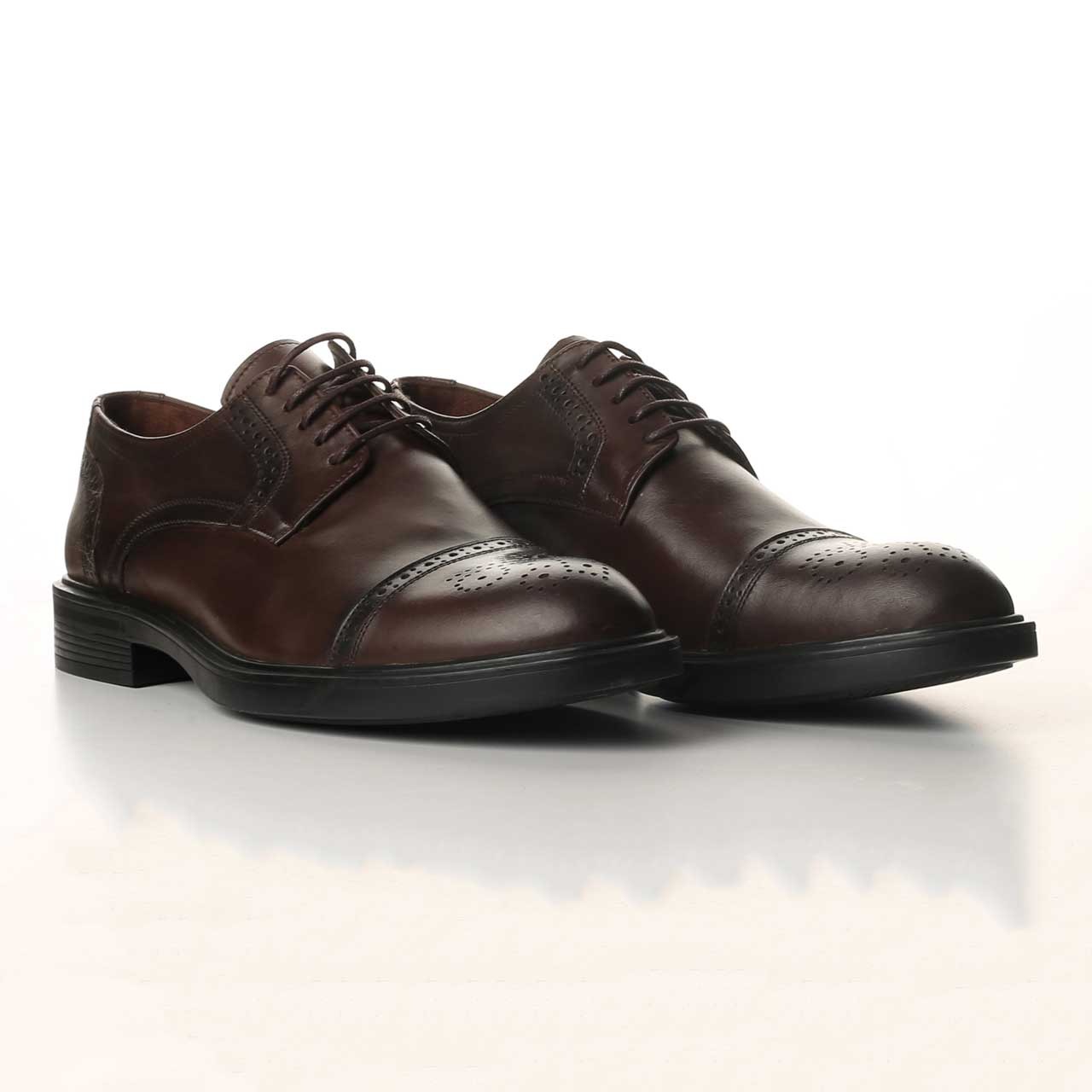 Classic Brown Shoes